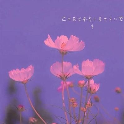 博鱼·体育中国入口